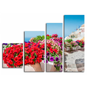 Модульная картина Цветы. Остров Санторини, Греция