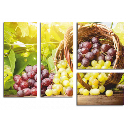 Модульная картина Корзина с виноградом